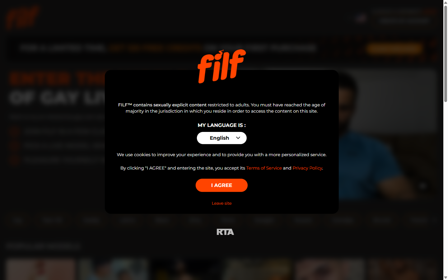 FILF homepage showing premium adult content platform